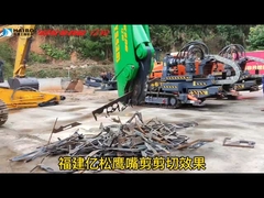 Ciseaux à bec d'aigle